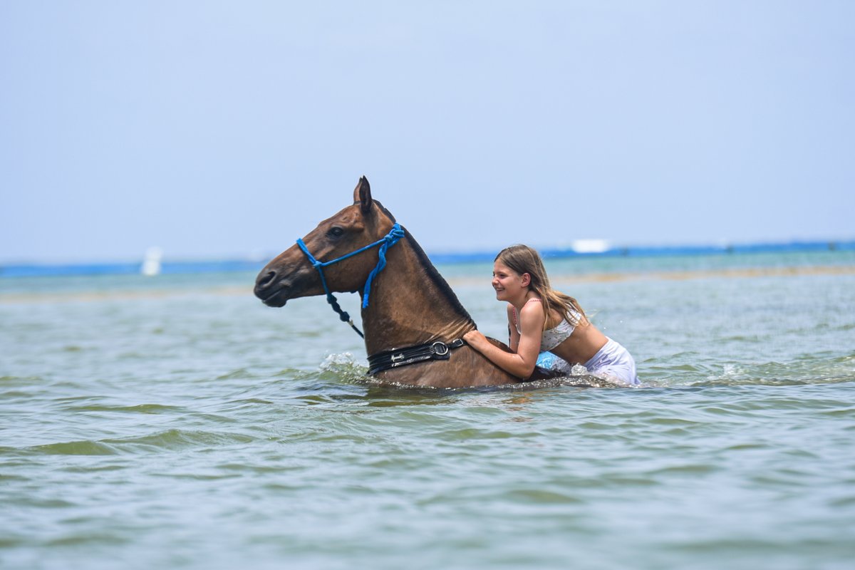 Fun, nature, and unforgettable family moments!🌿🐎

Experience the magic of riding and swimming with horses through rivers and tropical forest at @SwimHorsePuntaCana 🐴💦

📲 Book now and create memories that will last a lifetime!

#SwimHorse #PuntaCanaExperience #EcoAdventure