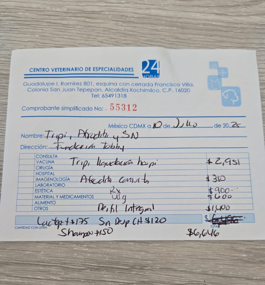 FundacionToby's tweet photo. Olvídenlo amigos 😔

No tenemos nada para comprar croquetas, se usó lo que teníamos en el veterinario.

Estoy muy desesperada, nuestros perros están haciendo solo 1 comida al día por qué no llega la ayuda suficiente para pagar el pedido de croquetas 😭💔

Si puedes ayudarnos sería increíble!!

Cuentas Toby

- BANCOMER
Cuenta: 0117412991
Clabe: 012180001174129915

- SANTANDER
Cuenta: 60577008001
Clabe: 014180605770080014
 
- Mercado pago
Clabe: 722969010583593935
Tarjeta: 5428785111220215

- Paypal
https://t.co/IWW9kwJFr6