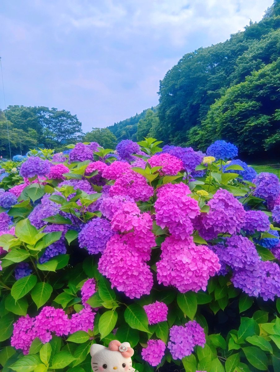 おはようございます
💙🩷💜