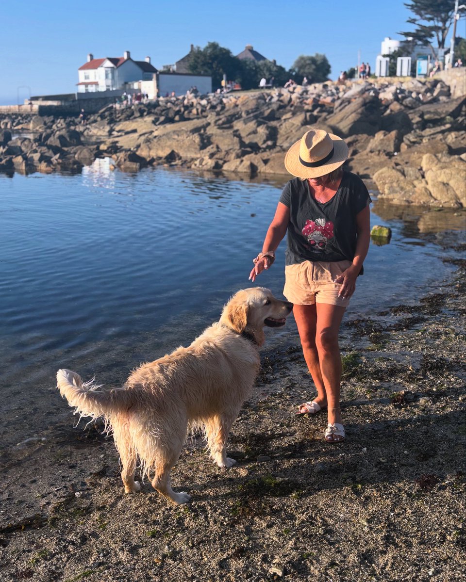 Summer in Ireland is better than most countries when the sun shines 💕👏

#Sandycove #Dublin #Summer2025 #Dogs #Happiness