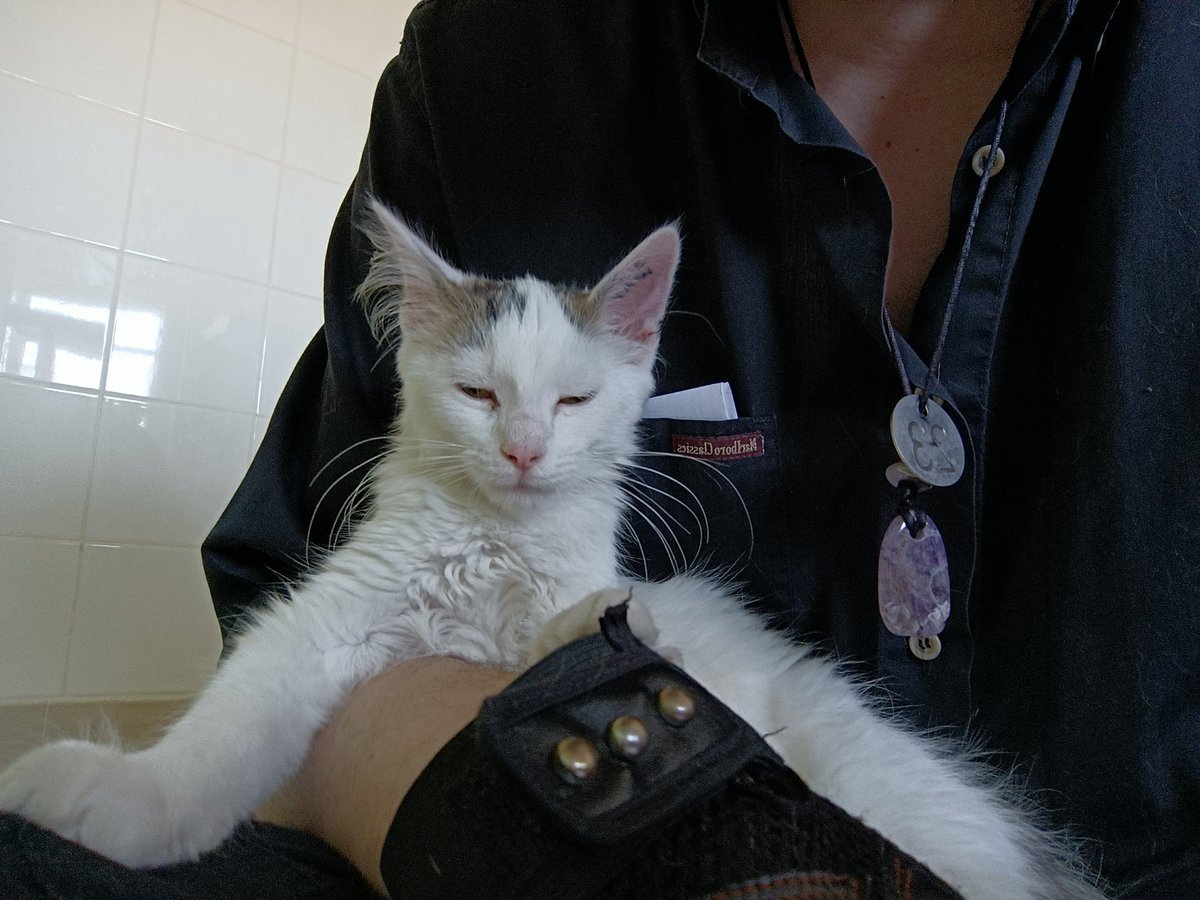 David GRESSIER tweet media