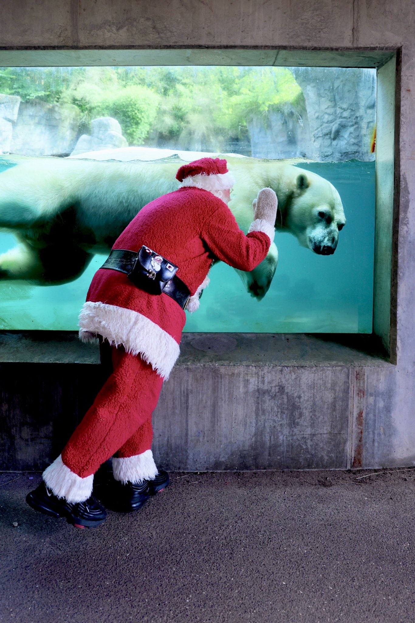 スターゲイザー～シロクマ Deformation Space DS-01R DS01R Crimson Wings Blue Version