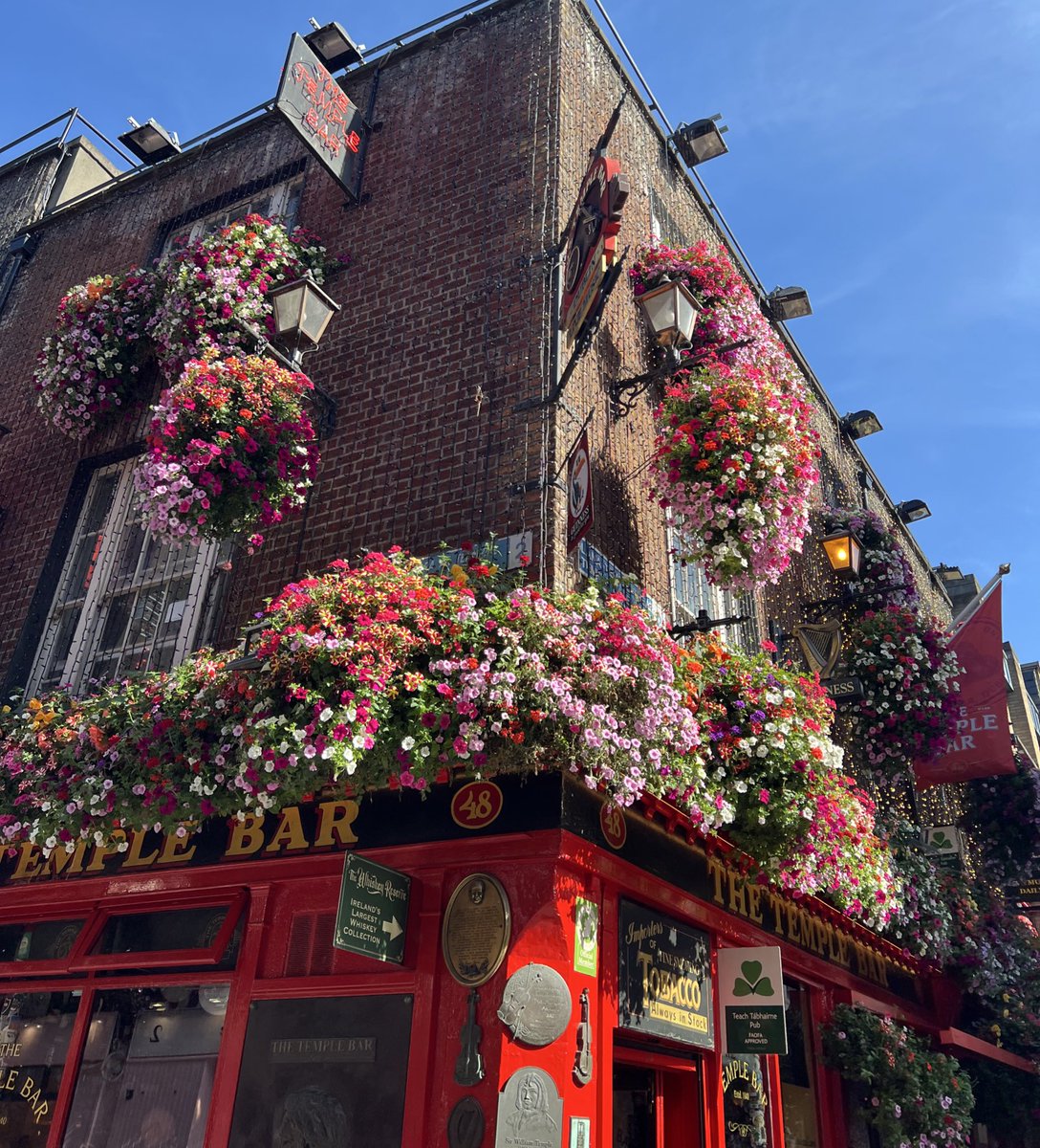 FSUmollz's tweet image. Stumbled upon this local watering hole in Dublin. Pro tip: order a Guinness!