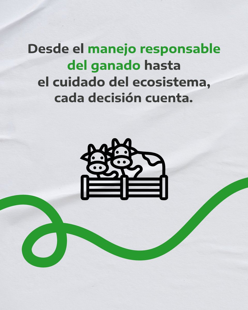 pMicrocreditos's tweet image. 👥Hoy reconocemos a quienes trabajan cada día en la cría y manejo responsable de animales para el abastecimiento nacional.
▶️Ofrecemos una línea de crédito pensada para productoras y productores ganaderos de la provincia, con condiciones accesibles, asesoramiento personalizado y…