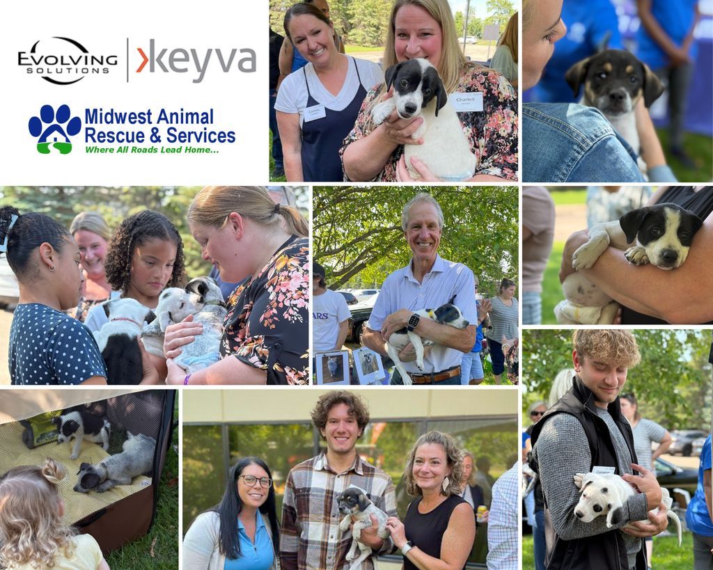 EvolvingSol's tweet image. Our team had an amazing time helping socialize some adorable puppies at our Puppy Party! 

We partnered with Midwest Animal Rescue Services to support their incredible work and give these sweet puppies some much-needed cuddles.

#PuppyParty #EvolvingTogether #CommunityEngagement