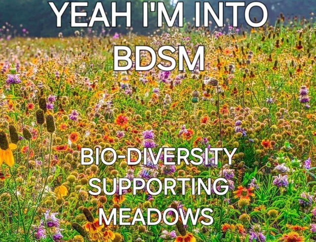 horse dentist (@equine__dentist) on Twitter photo 