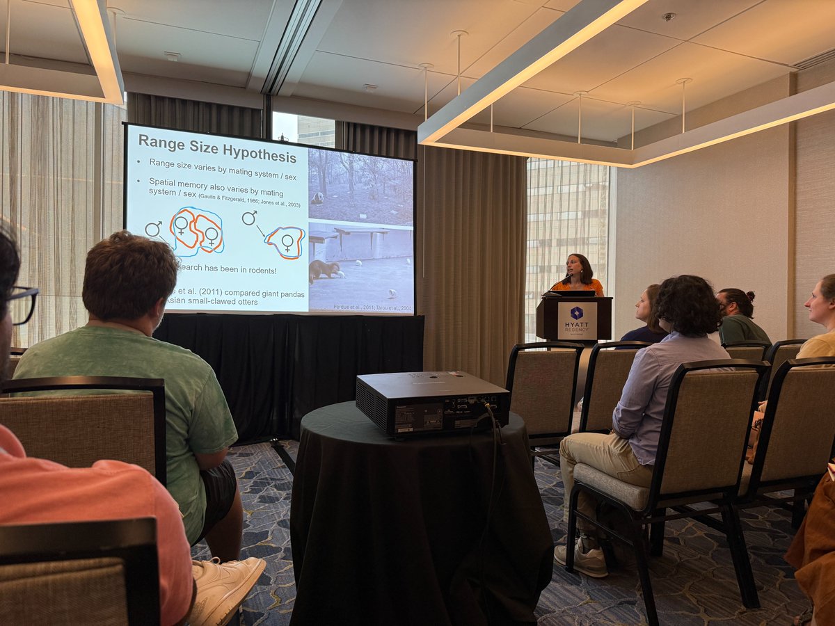 🐯🐺Today we shared our MZ1 pilot study of the range size hypothesis at the <a href="/AnimBehSociety/">Animal Behavior Society</a> 
conference! If you missed our talk, check out our MZ1 information "packet" here: bit.ly/mz1interest #ABS2025 #ZooScience