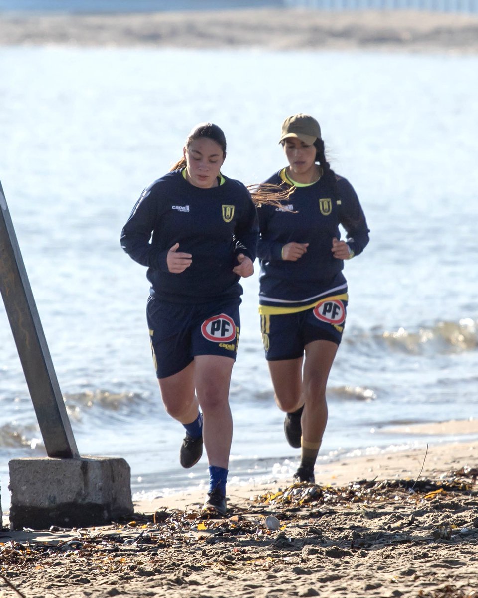 ¡Seguimos con la semana a doble turno! 💪🏽

Esta jornada, el entrenamiento AM se realizó en la Playa Negra de Penco, donde nuestro plantel tuvo una exigente sesión en la arena y al lado del mar 🌊 

#VamosLasForeras • #ElOrgulloDeSerForero