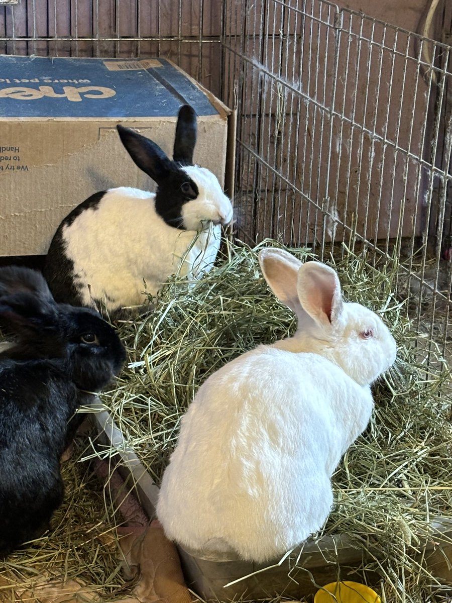 Hay time