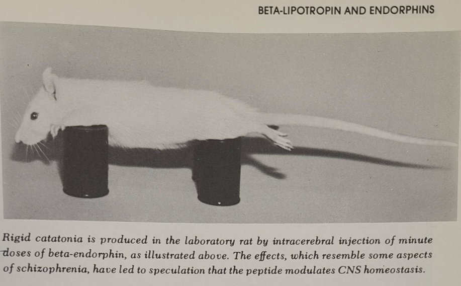 Yuxi on the Wired (@layer07_yuxi) on Twitter photo 