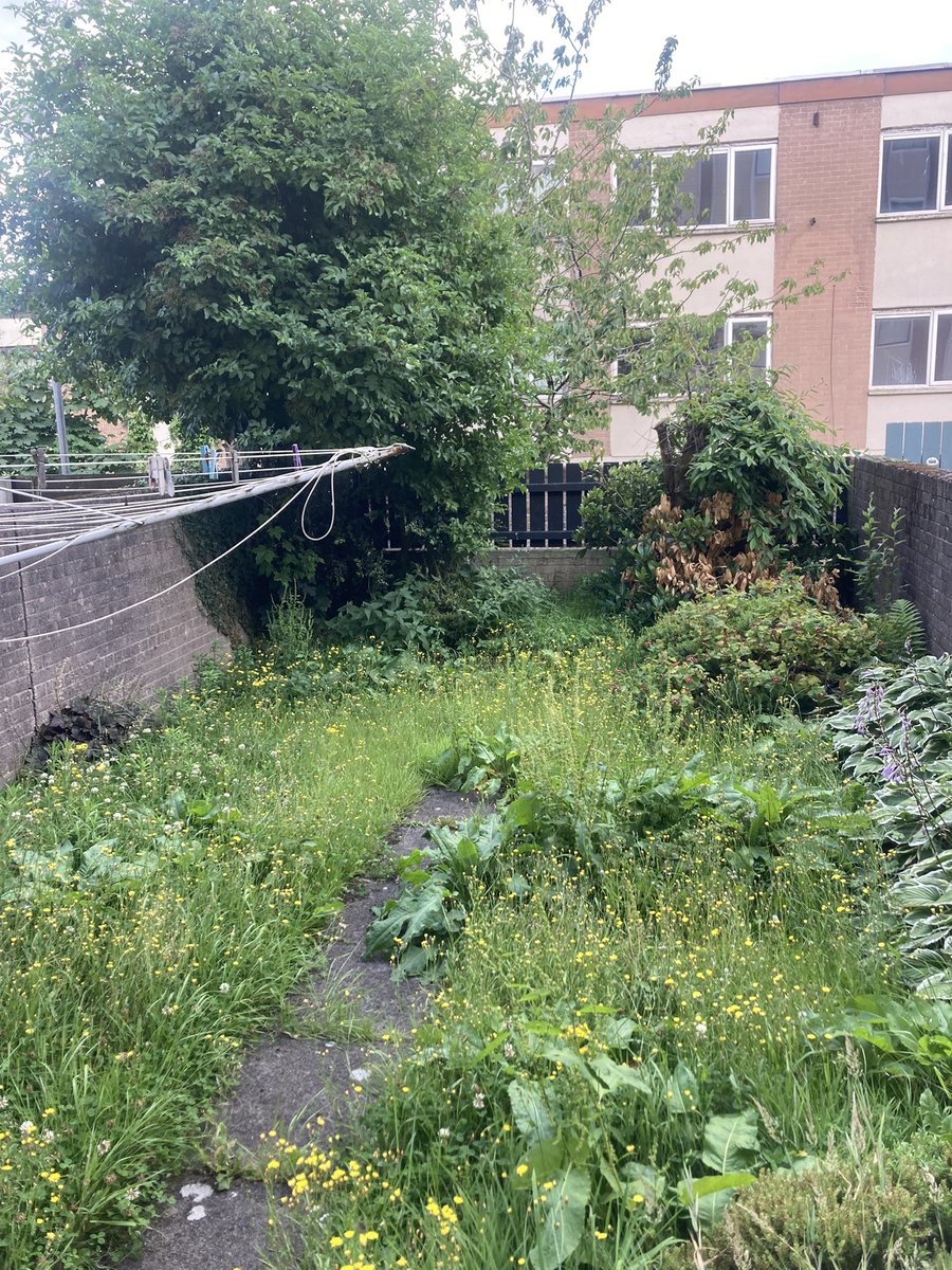 artilleryyc's tweet image. The lads completed another three older residents’ gardens tonight cutting back trees and bushes, mowing the grass, litter picking and bringing their outdoor spaces back to life. Fitted five safety lights. Fellas worked hard tonight.