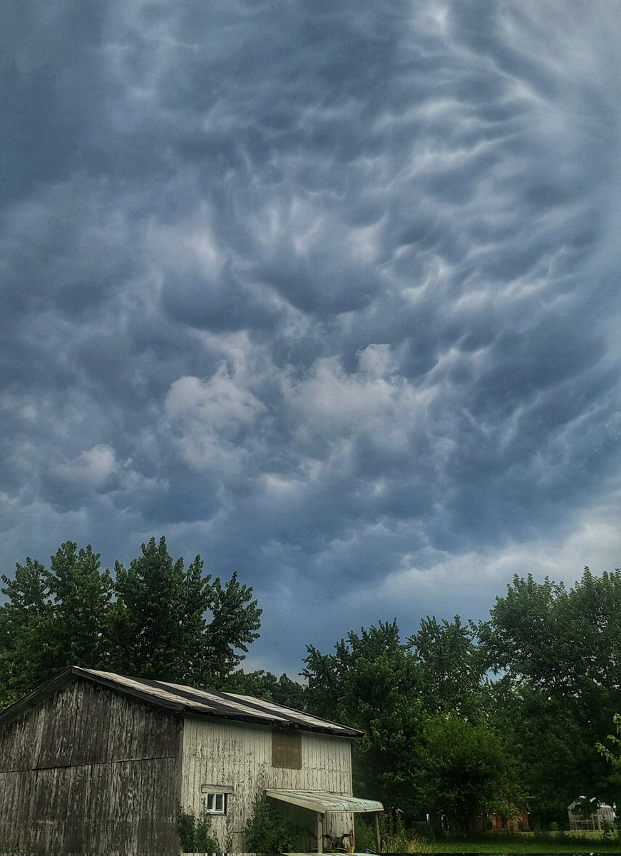 Rosievortwx🌩️ tweet media