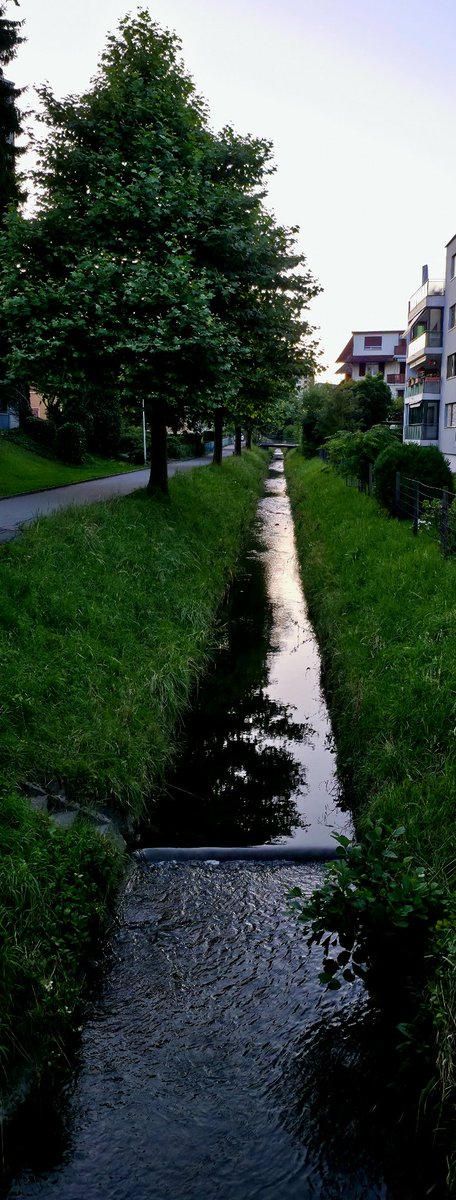 Komšiluk pronadjen prelep ponovo 🥹