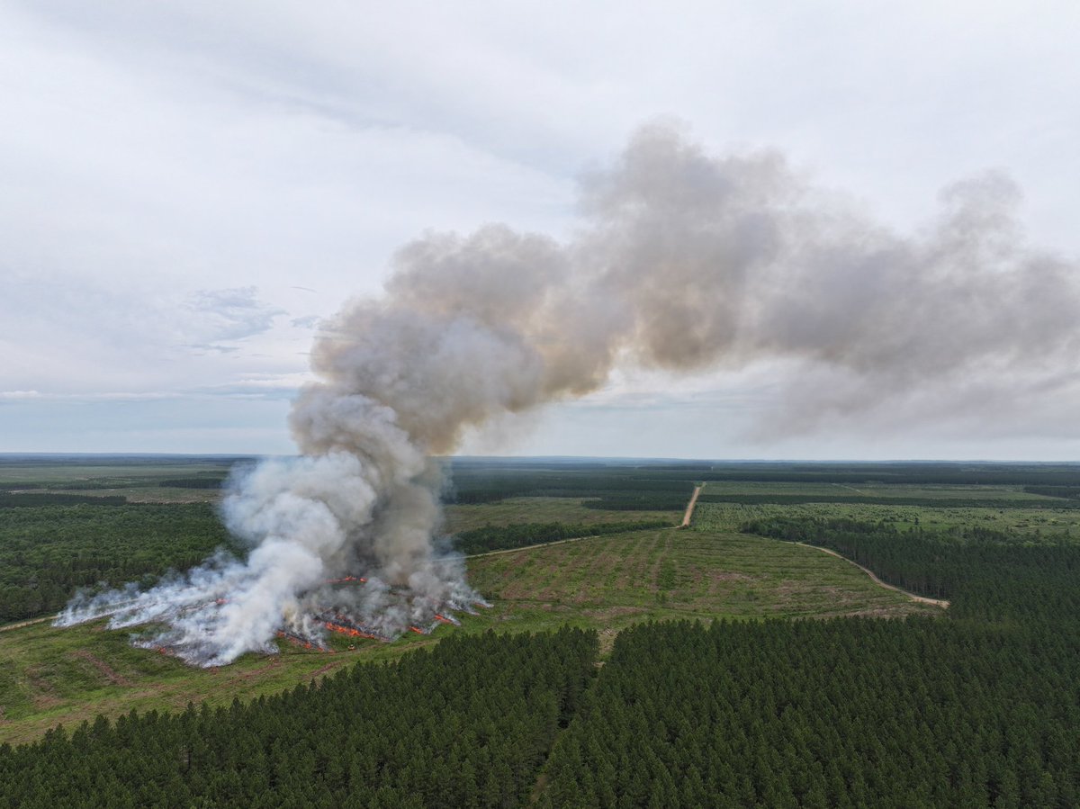 Justin Meyers tweet media