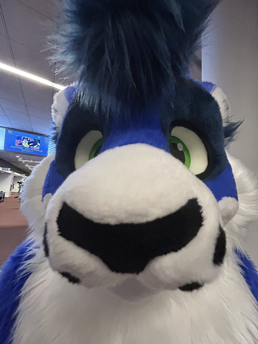 ColeWuff's tweet image. They know what you smell like… 😳
(I love taking pictures like this)