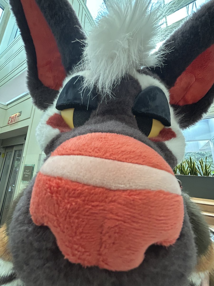 ColeWuff's tweet image. They know what you smell like… 😳
(I love taking pictures like this)