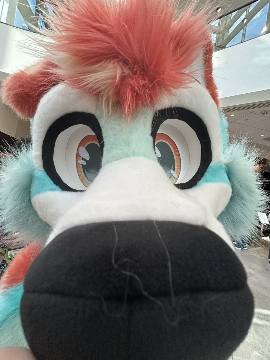 ColeWuff's tweet image. They know what you smell like… 😳
(I love taking pictures like this)