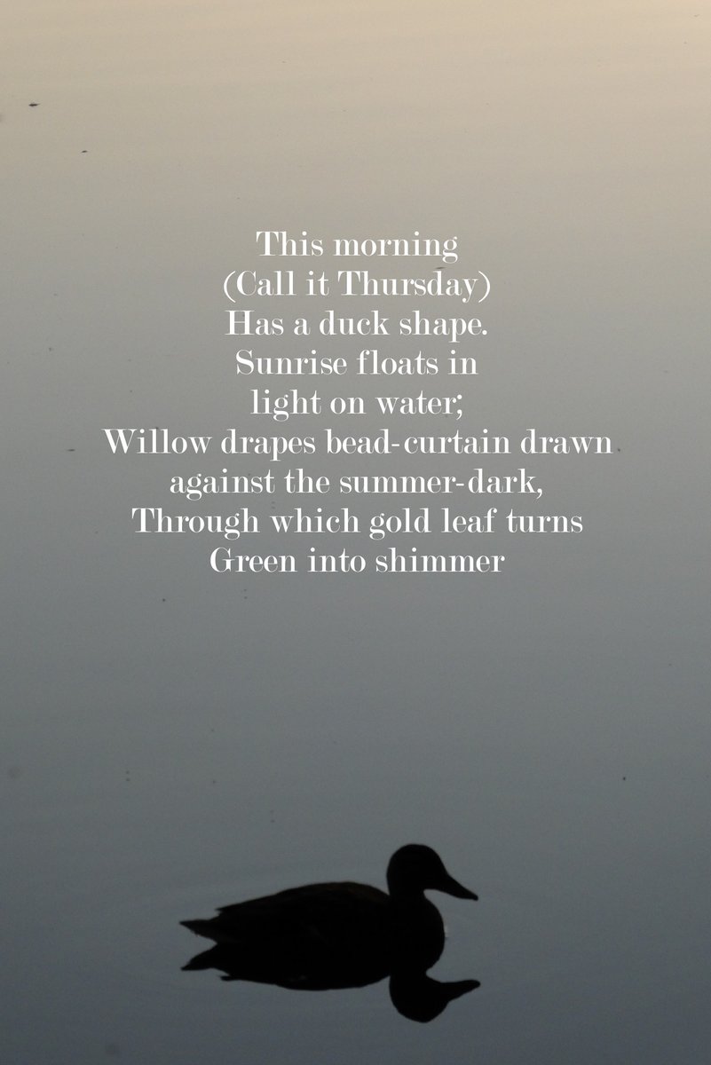 birdsong (@foxxmetamatic) on Twitter photo 