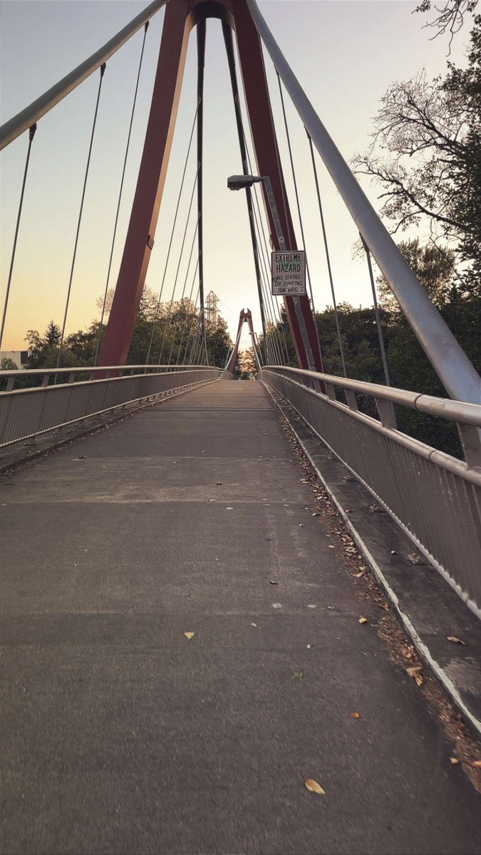 SaederRS's tweet image. 10k steps never been easier