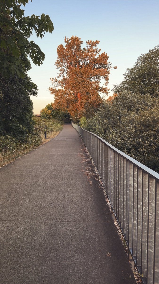 SaederRS's tweet image. 10k steps never been easier