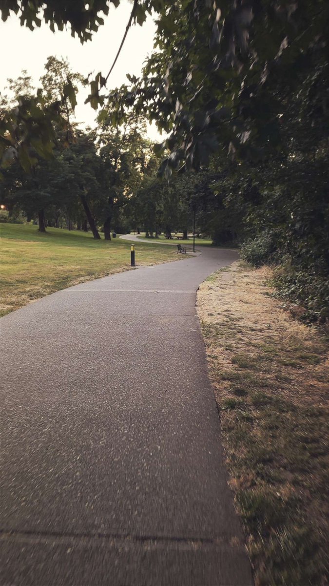 SaederRS's tweet image. 10k steps never been easier