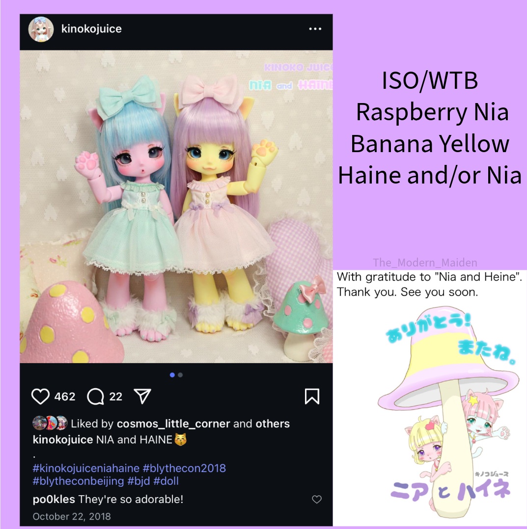 ISO/WTB: If you have, find or see an available Kinoko Juice Milktea Haine, Raspberry Nia, Banana Yellow Haine, or Banana Yellow Nia PLEASE let me know! Thank you! #kinokojuice #kinokojuicehaine #kinokojuicenia #kinokojuicecat #bjdcat #kinokojuicedoll #kinokojuicecollector