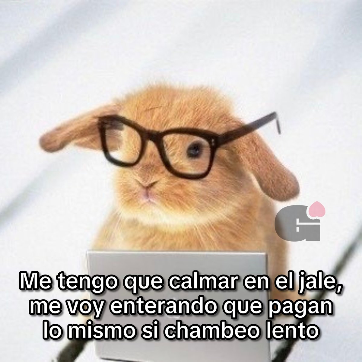 Me tengo que calmar.