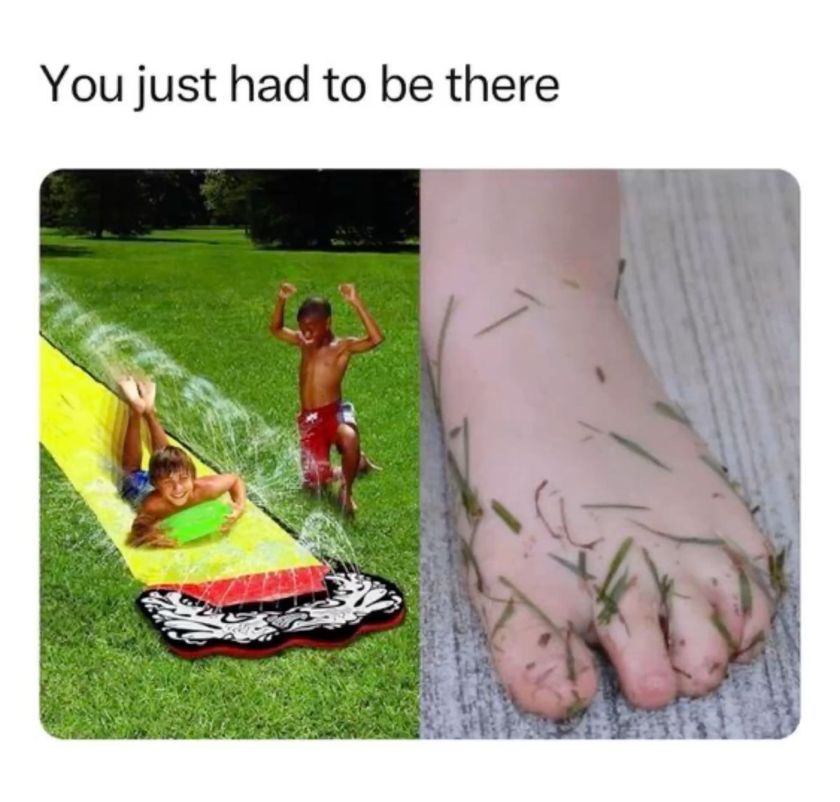 Wild Posts tweet media