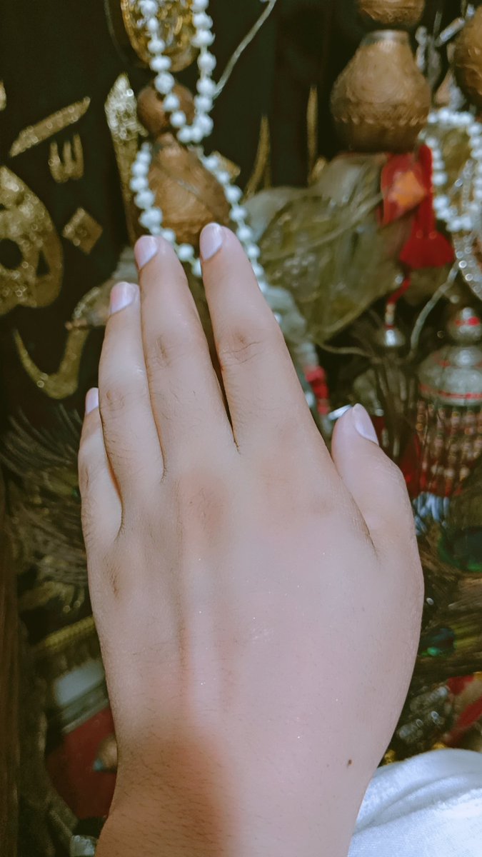 اہلِ بیتؑ رسولﷺ نجـــــــات کا راستہ ہیں🥀