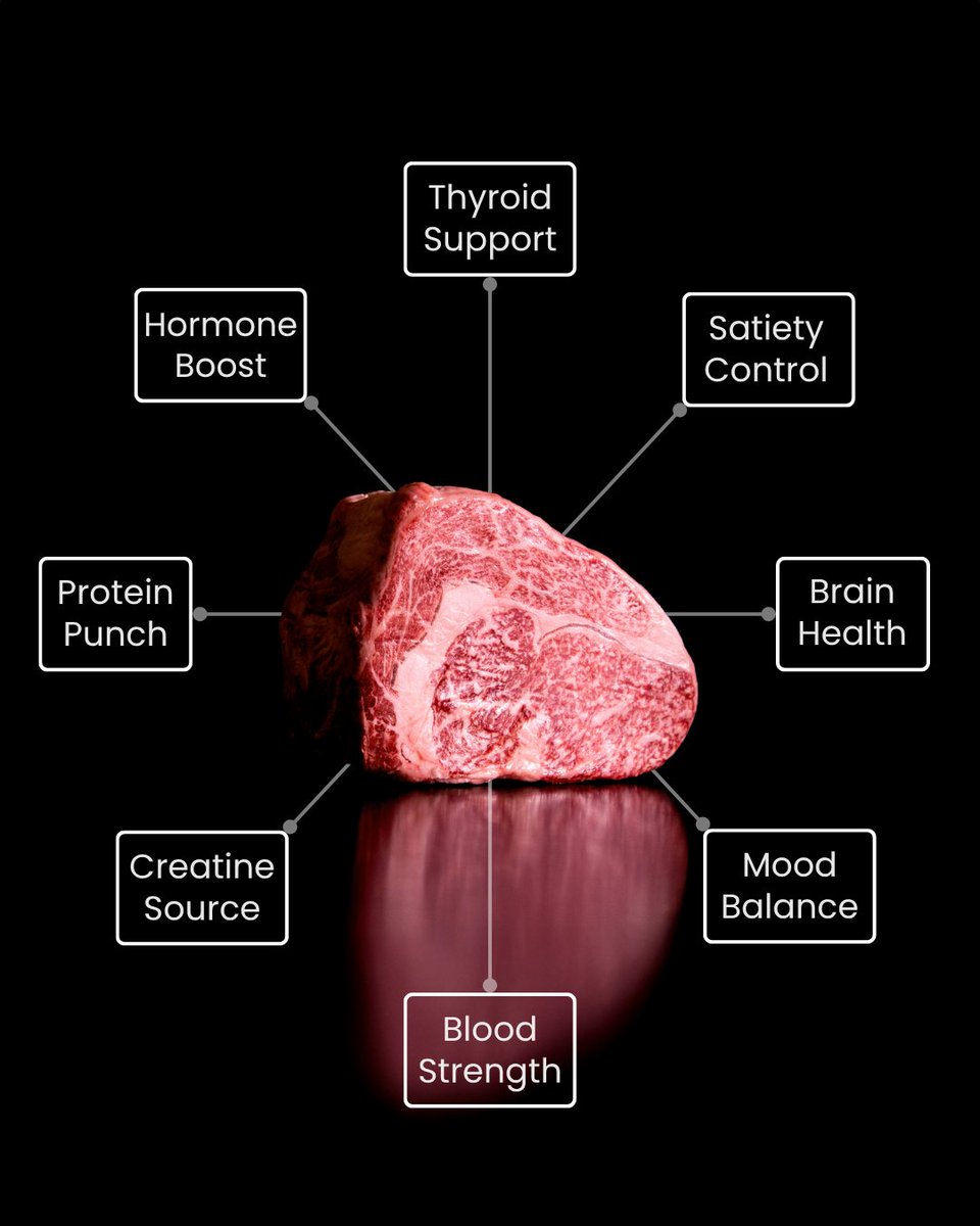 TWF_Health's tweet image. What can ethically sourced, American raised, red meat do for your overall health?
✅Thyroid Support
✅Satiety Control
✅Brain Health
✅Mood Balance
✅Blood Strength
✅Creatine Source
✅Protein Punch
✅Hormone Boost
Know WHERE your meat is coming from. Enjoy the health benefits.