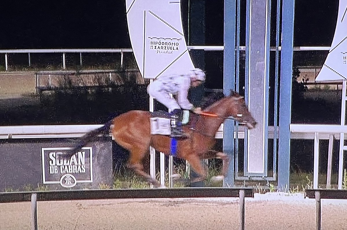 Yeg. 7Iglesias/Noozhoh Canarias (@alliron_2023) on Twitter photo Paseo de Villalba #FirstEleven y Noctalia (3ª victoria) en <a href="/HipodromoMadrid/">Hipódromo de La Zarzuela</a> con Bruma #NoozhohCanarias en la gemela, monta <a href="/JanacekVaclav/">Vaclav Janacek</a> <a href="/ArizkorretaR/">Arizkorreta Racing</a> Paseo de Villalba #FirstEleven y Noctalia (3ª victoria) en <a href="/HipodromoMadrid/">Hipódromo de La Zarzuela</a> con Bruma #NoozhohCanarias en la gemela, monta <a href="/JanacekVaclav/">Vaclav Janacek</a> <a href="/ArizkorretaR/">Arizkorreta Racing</a>