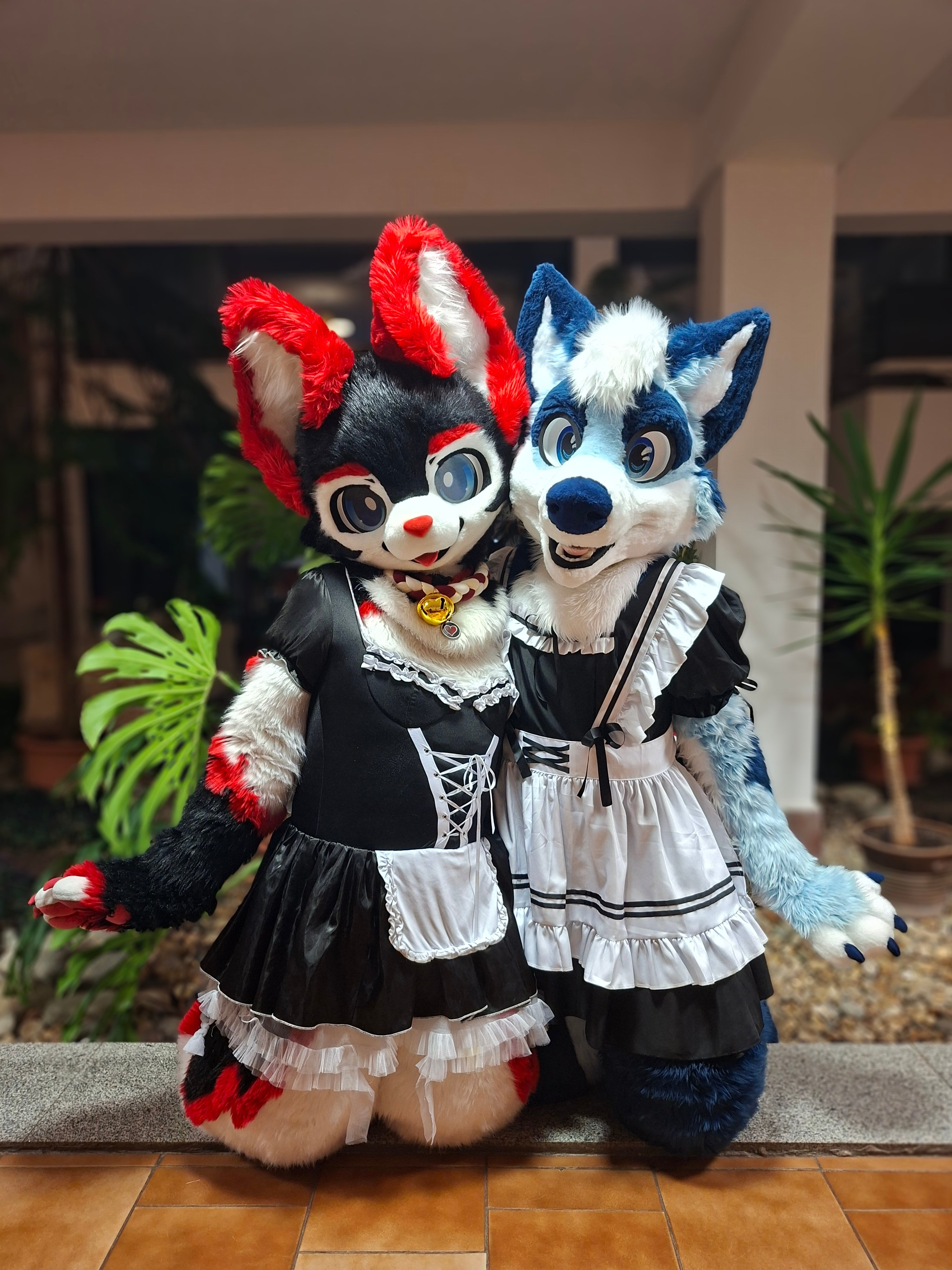 期間限定セール 🍓 Thaitails EF, Cesfur, 🔜 イチゴ) / (딸기 Strawberry アイドル