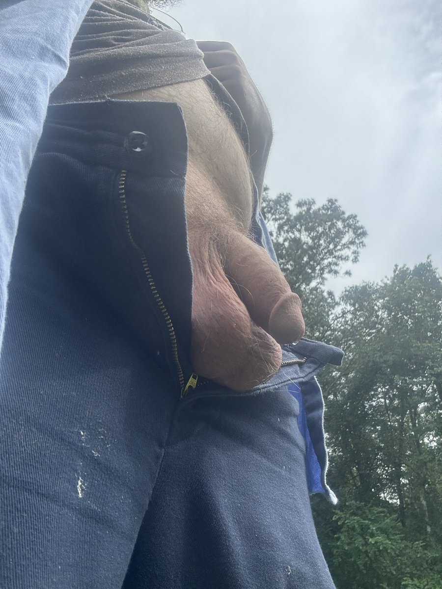 the dog that can (@dingofrito) on Twitter photo Be a pal and come suck on this Be a pal and come suck on this