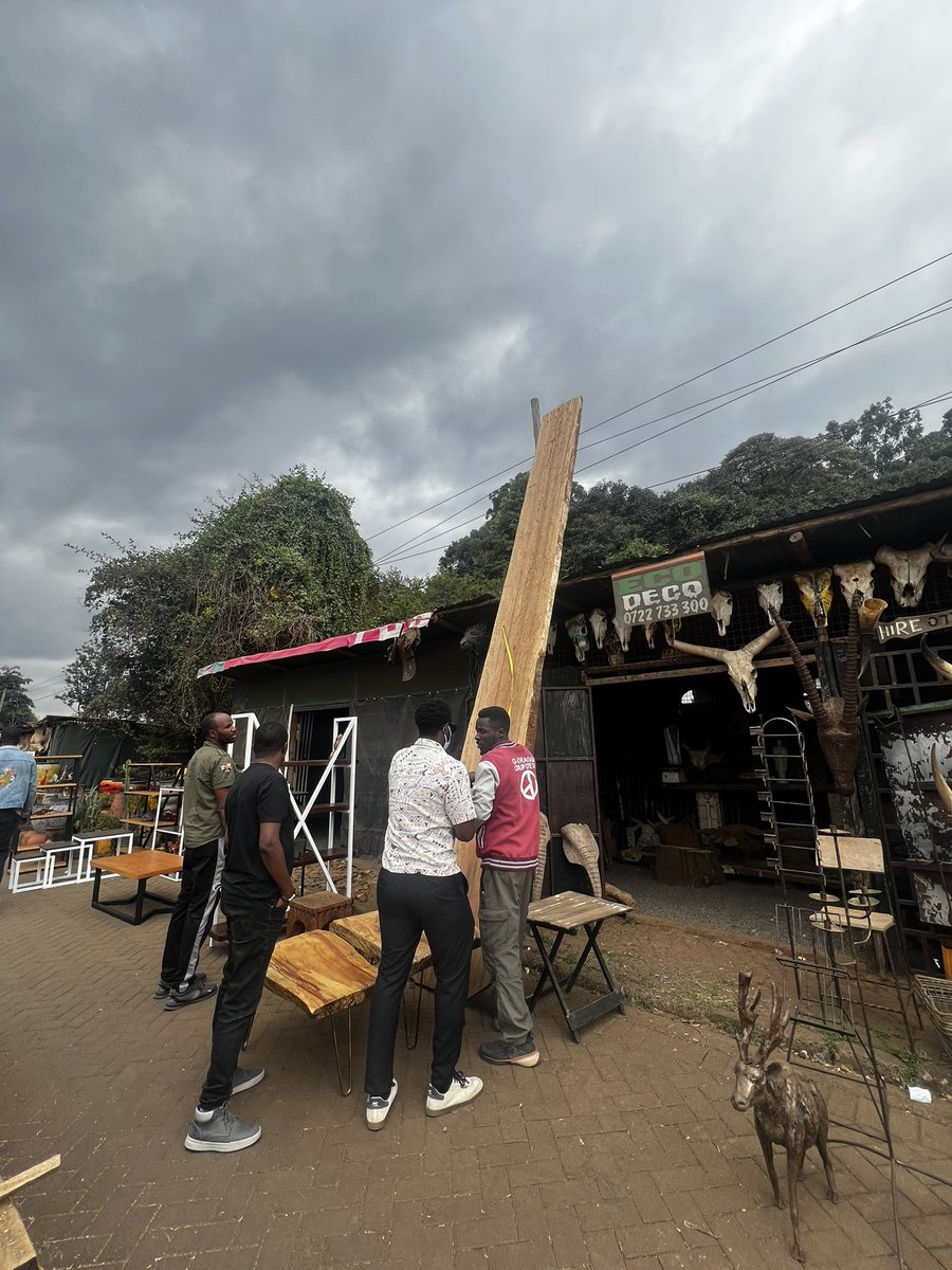 でっかい一枚板買った6m