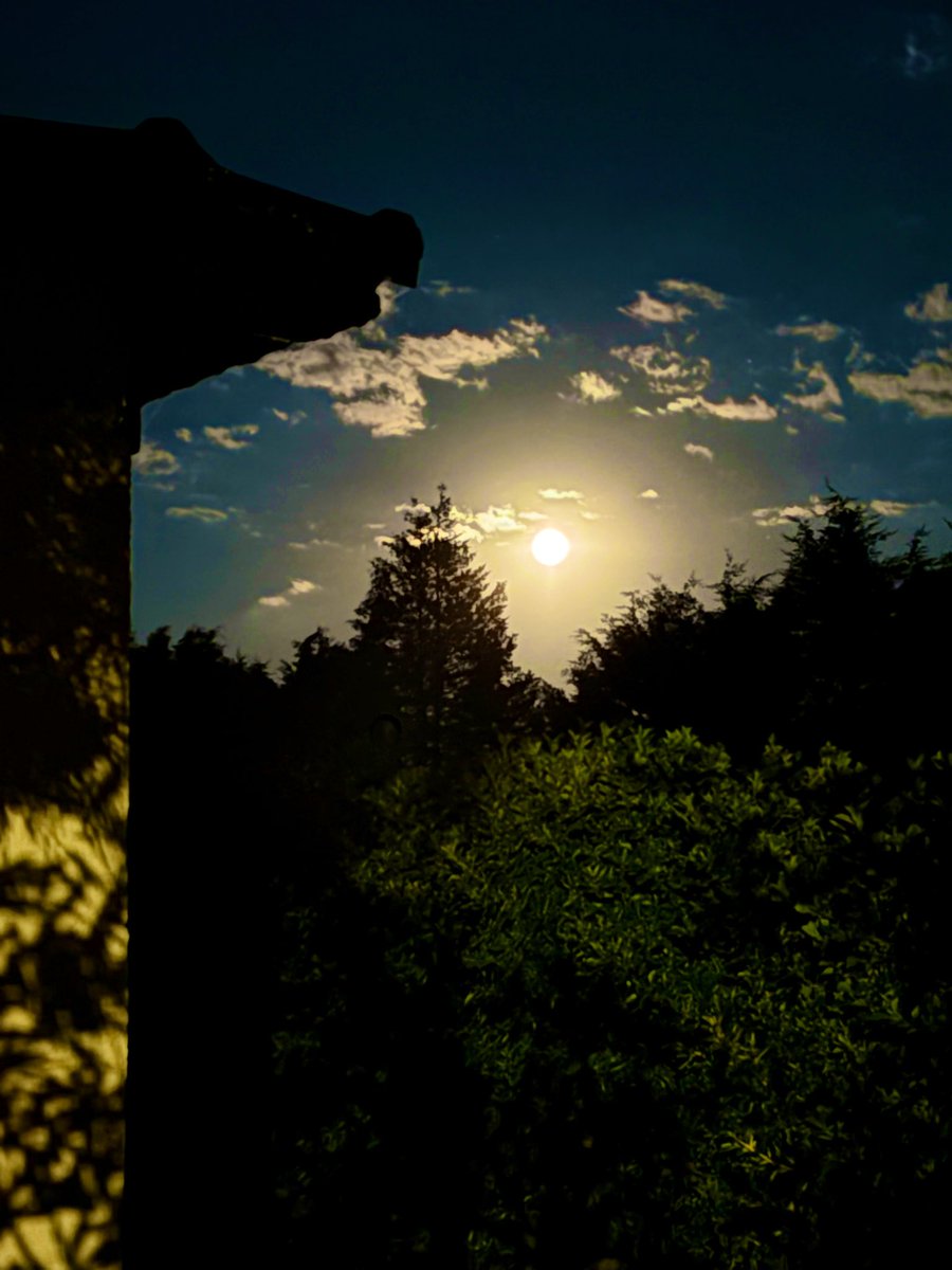 penam_13's tweet image. Zeytin ağaçları arasında taş bir ev, iri üzümlü bir bağ ve ruhumun dengi ..🫶🪶
#dolunay
#manifest