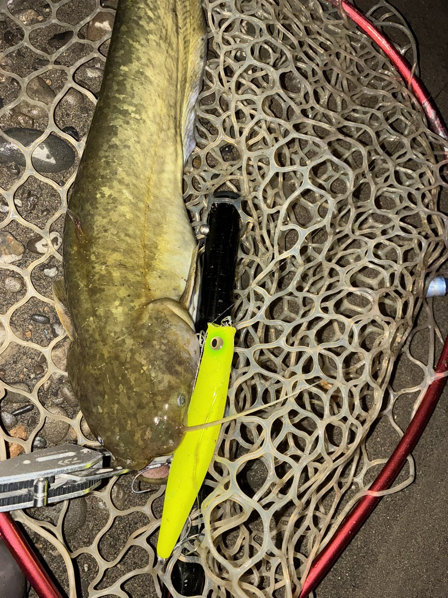 張り切って行った割には、、、、でも釣れて良かったよ