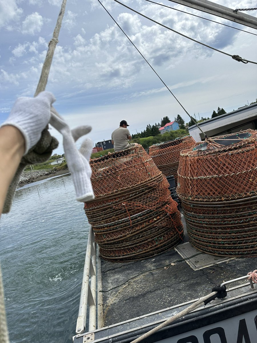 tbasque78's tweet image. Another safe and successfull season! Been fortunate, been doing this for 25yrs now. Few crazy trips but made it back home. #snowcrab #fisherman