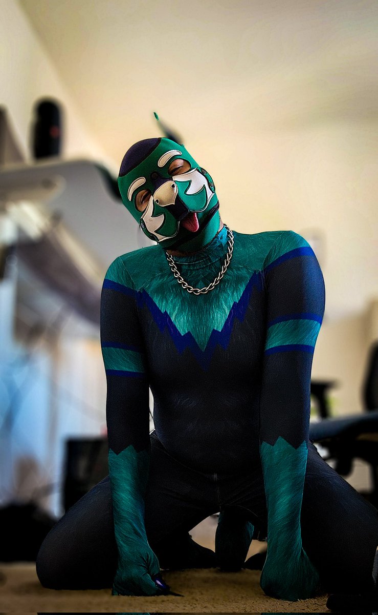 In love with my new petsuit from <a href="/forfunbangkok/">FORFUN</a> I literally cannot stop wearing it
