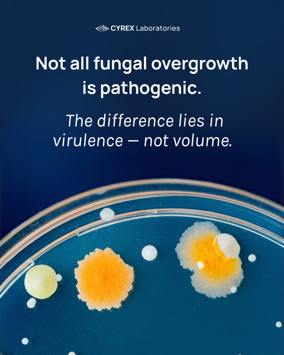 CyrexLabs's tweet image. Most tests tell you if a fungal species is present. But presence alone doesn’t equal pathology. Fungal virulence makes the difference.
BiomeBurden™ Testing Series 
Candida virulence-Multiple fungal species-Mycotoxins 
Available at joincyrex.com