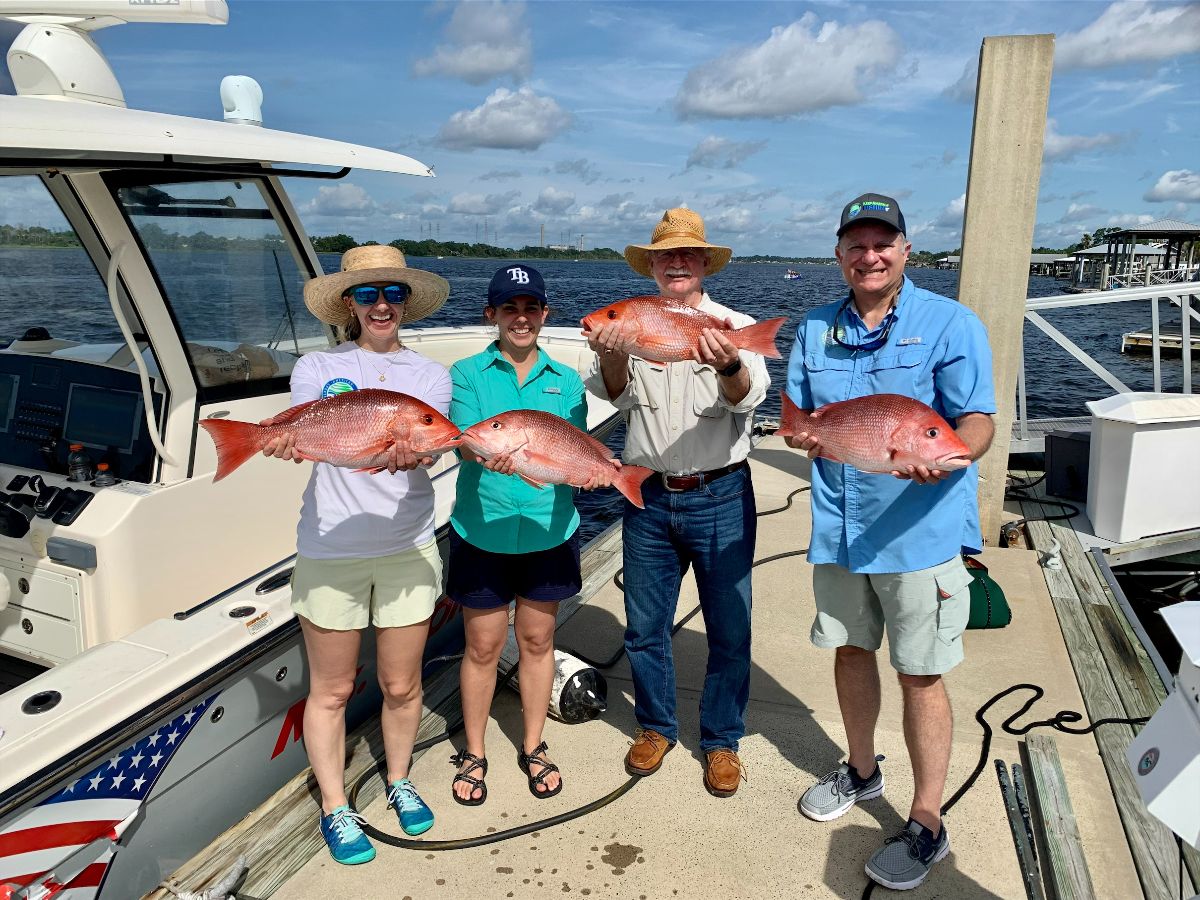 ASAFishing's tweet image. Just in time for red snapper season, @RepRutherfordFL, @RepBuddyCarter, @RepRussellFry & @RepDavidRouzer launch the House South Atlantic Red Snapper Task Force to improve stock management & support better data collection. rutherford.house.gov/media/press-re…