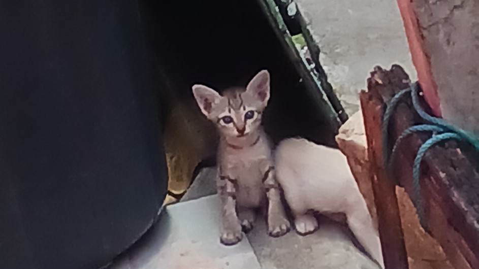 butbûr ||| #pm2.5ภาคเหนือ tweet media