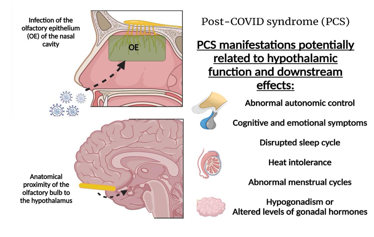 Danielle Beckman tweet media