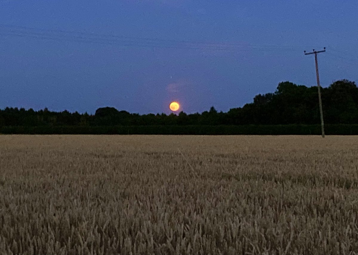 KateAgValuer's tweet image. Stunning full moon rising, rose gold and glorious. Photos are hopeless - go outside and look!