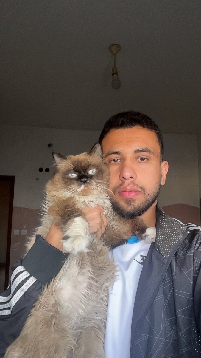 Mo7mmd30's tweet photo. As if Leo refused to leave me alone...

He left me a green plant growing above his grave, and a lock of his fur caught between my fingers...

Then he sent me this cat yesterday a whisper that says: Don't be afraid... my love is here, alive and never dying https://t.co/mXXJmf3fmA