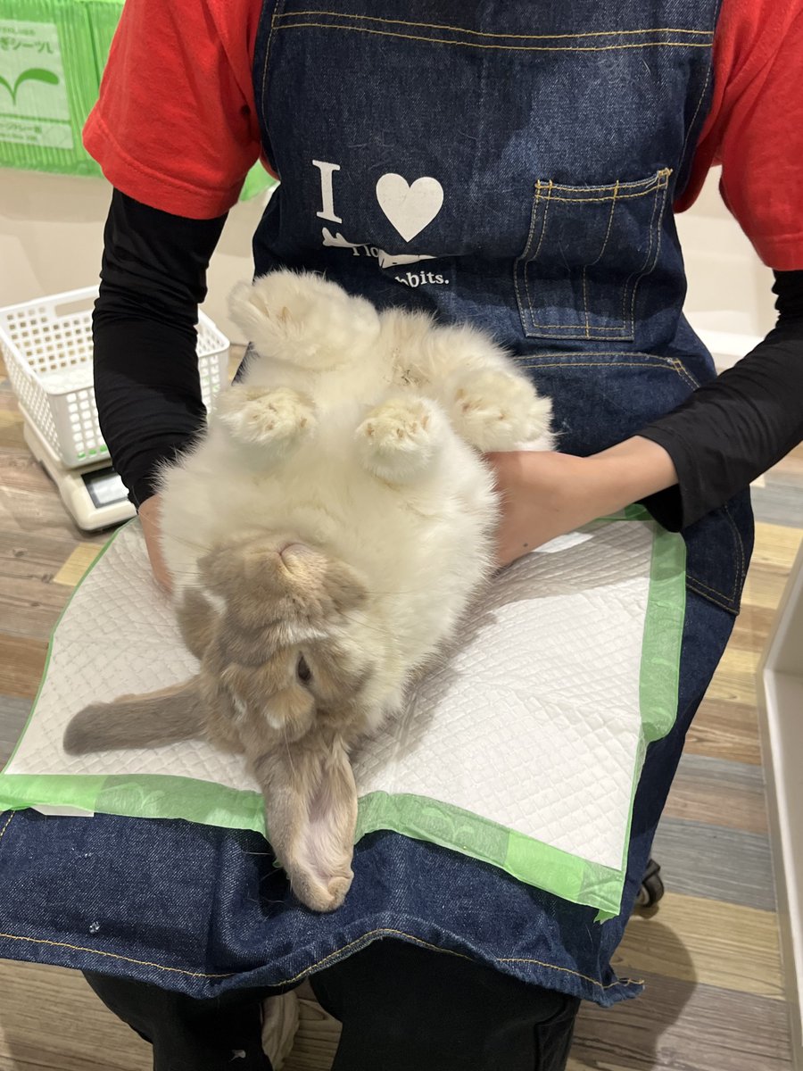 何回見てもｶｯｶﾜｲｲ.*･♡