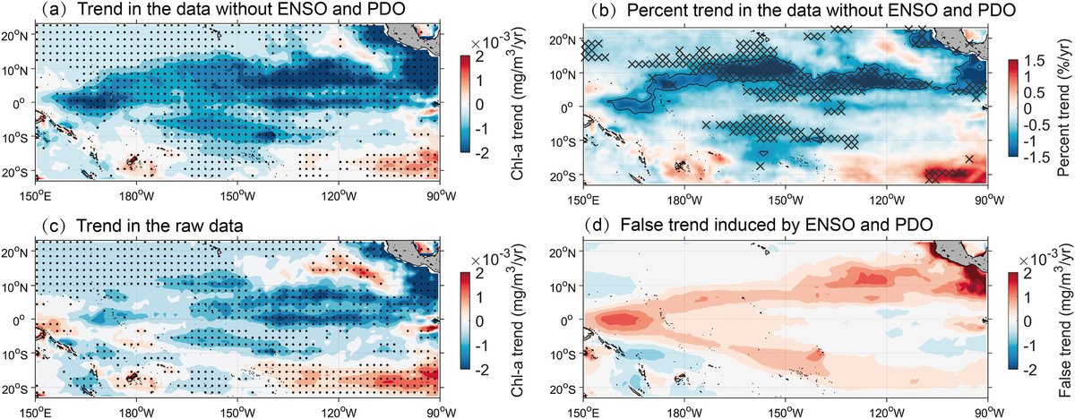 JGRBiogeo's tweet image. Controlling for natural variability reveals a clear 🌡️-driven decline in phytoplankton in the tropical Pacific

Satellite data (1997–2023) show a 0.4%/yr drop in chlorophyll-a, with the N. Pacific experiencing a faster decline than the S. Pacific

🔗: agupubs.onlinelibrary.wiley.com/doi/10.1029/20…