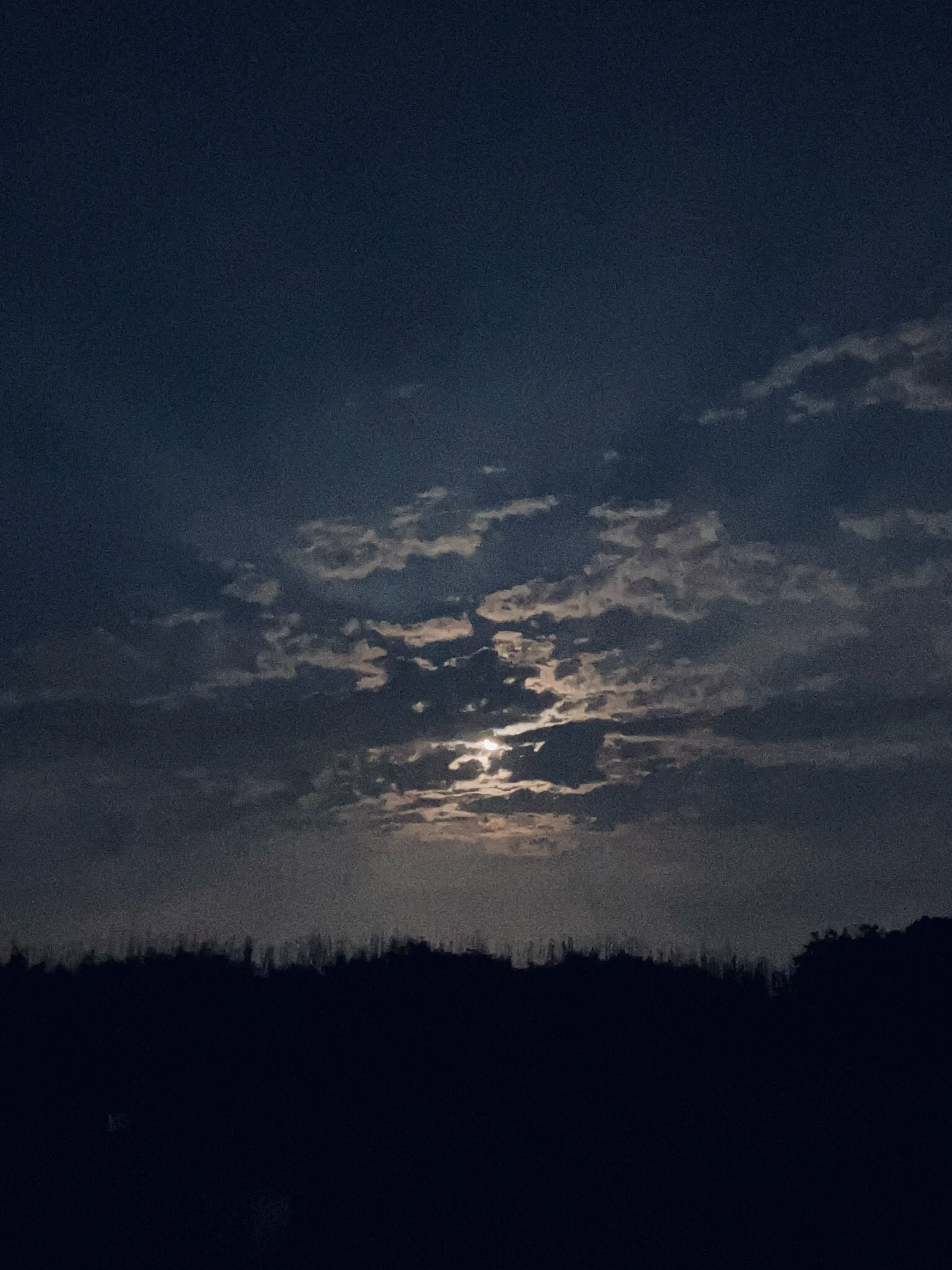 夜空の月の薄明光線 - البحث / X