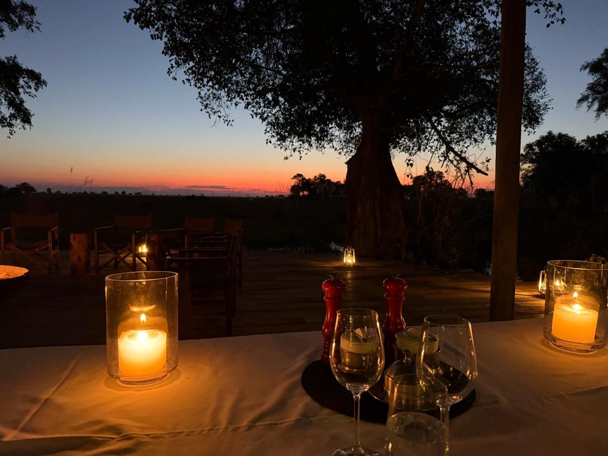 Rothschild Safaris tweet media