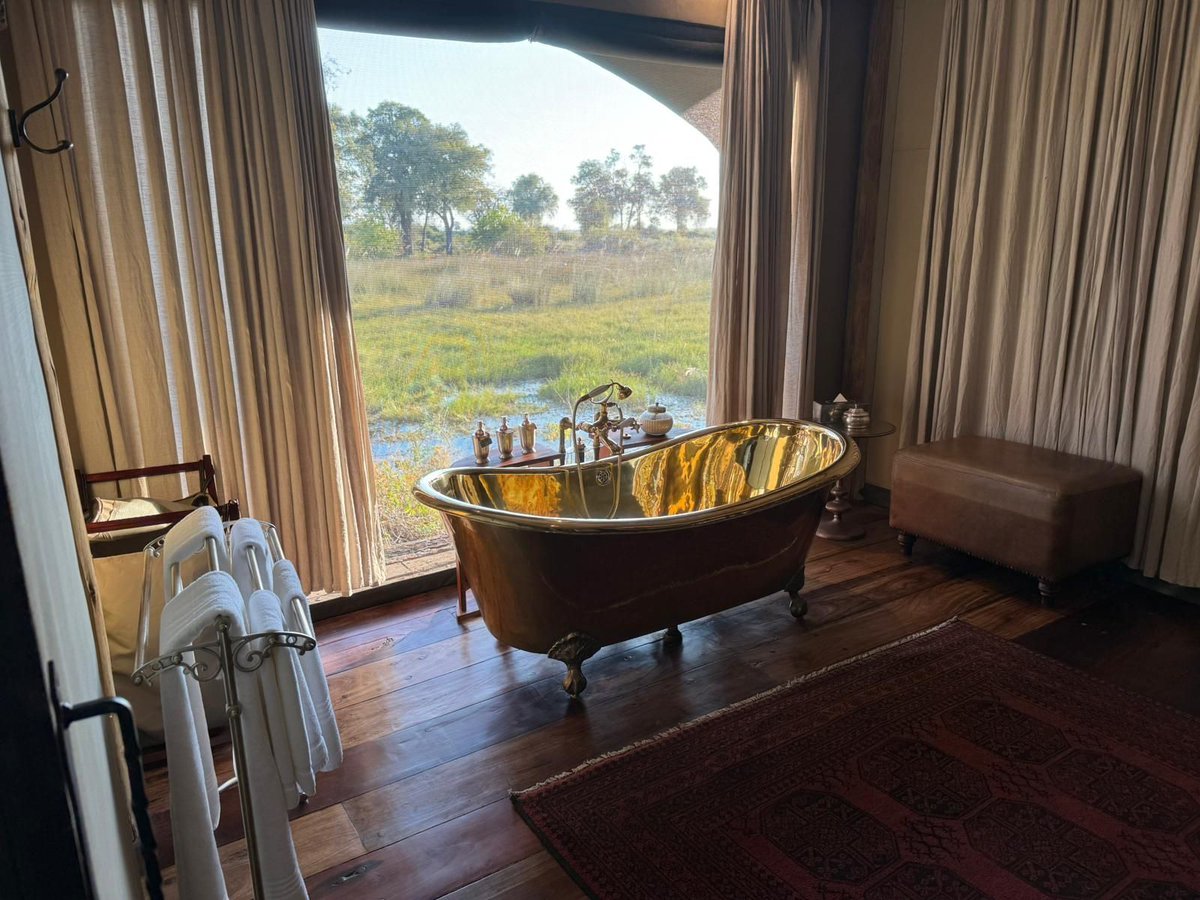 Rothschild Safaris tweet media