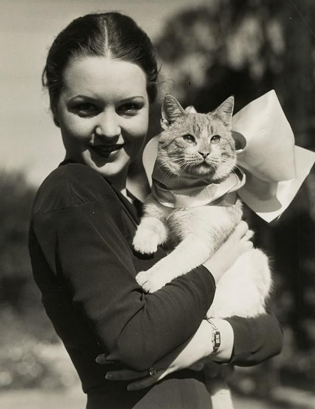 WAGongaware's tweet photo. Marian Shockley
#WAMPAS Baby Star of 1932
From film (comedy shorts with Ray Cooke), to the stage, to radio theater, starring as Nikki in "The Adventures of Ellery Queen." https://t.co/jKy4hgYzBp